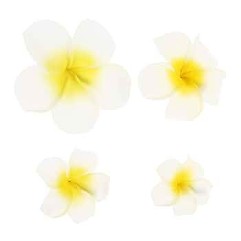 プルメリア　オーダーページ ヘアピン チャーム ハンドメイド　ハイビスカス プルメリア オーダーページ ヘアピン チャーム ハンドメイド